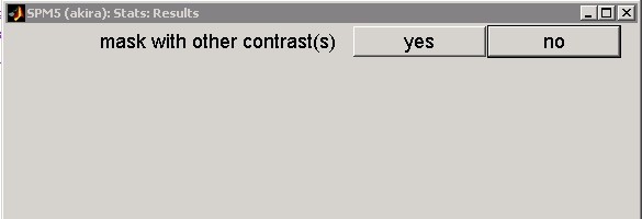 masking options1