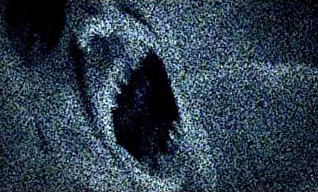 Grainy black-and-white visual noise with a dark shape emerging from the static.